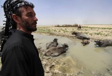 伊拉克:水利部门称，伊拉克的水资源储量处于历史最低水平